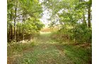 Property photo 2 - 39+/- Acres Offered in 3 Tracts